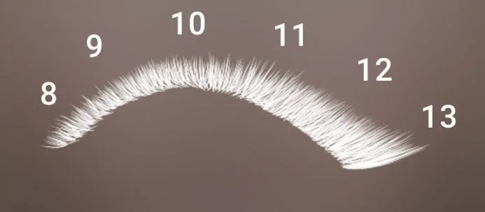 Cat eye lash map in Lash Create