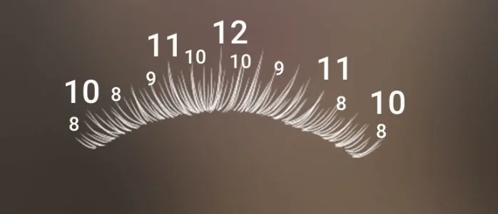 Doll eye lash map in Lash Create