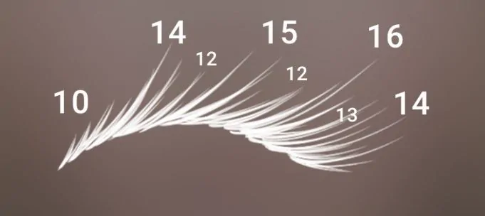 Free style spiked lash map in Lash Create