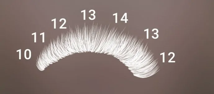 Kitten eye lash map in Lash Create