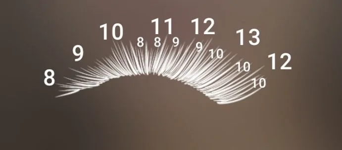 Natural cat eye lash map in Lash Create